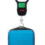 electronic portable scale