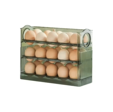 Egg Storage Box Refrigerator