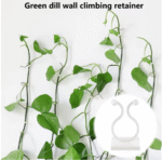 Plant Climbing Wall Clip Invisible - Image 2