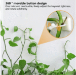 Plant Climbing Wall Clip Invisible - Image 4