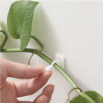 Plant Climbing Wall Clip Invisible - Image 12