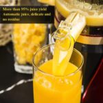 Slow Juicer - Image 3