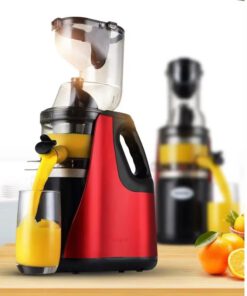 Slow Juicer