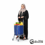 Foldable Shopping Carts - Image 3