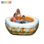 Lion King Deluxe Pool
