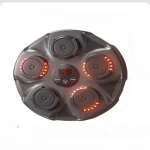 Intelligent Music Boxing Machine