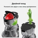 SLOW Masticating Juicer - Image 8