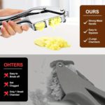 Versatile Stainless Steel Garlic Press & Nut Cracker - Image 7