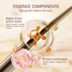 Posuya Cherry Blossom Shampoo & Conditioner Set - Image 7